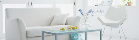 Platinum Home Plus Insurance Plan